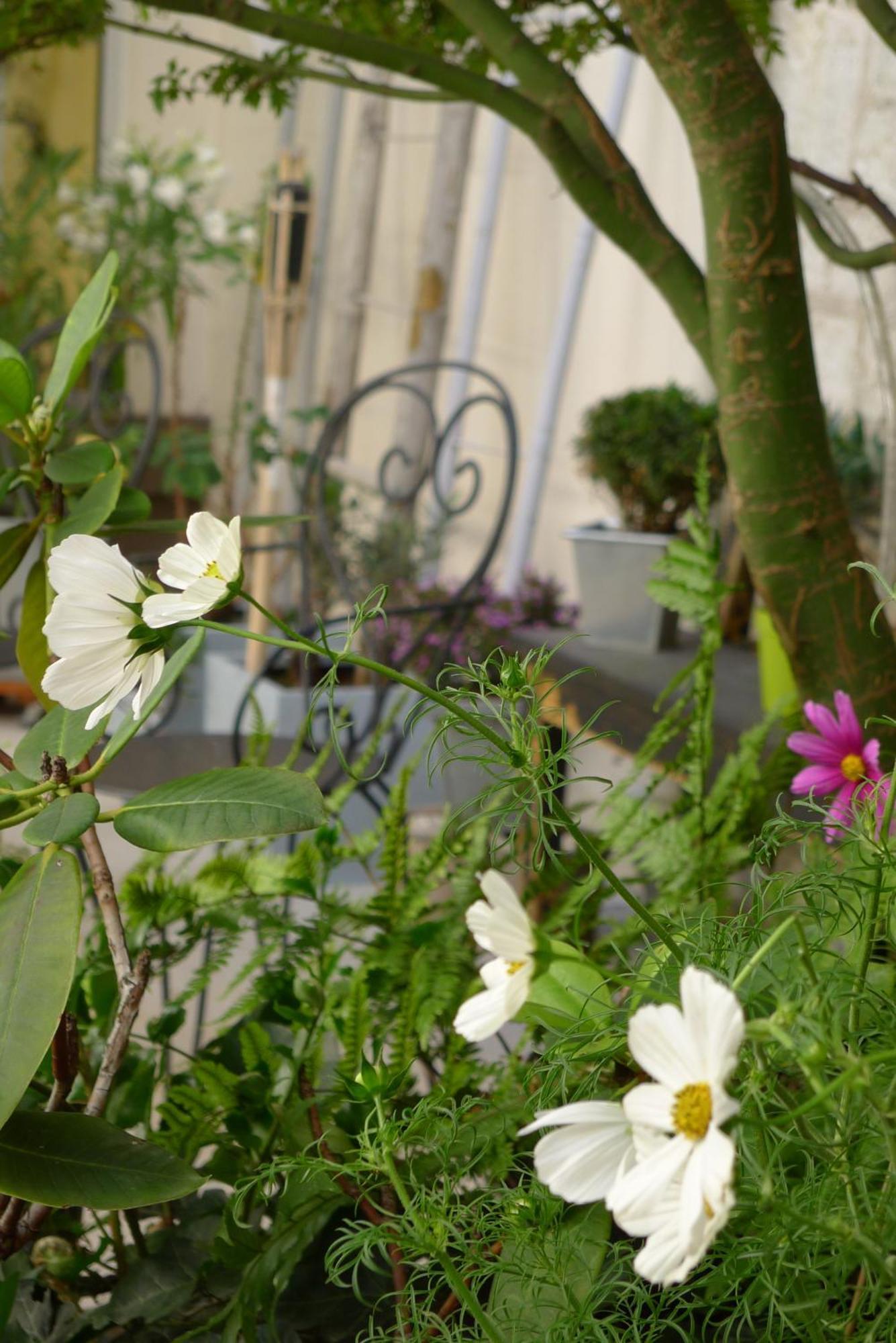 Cit'Hotel Des Messageries แซ็งต์ ภายนอก รูปภาพ
